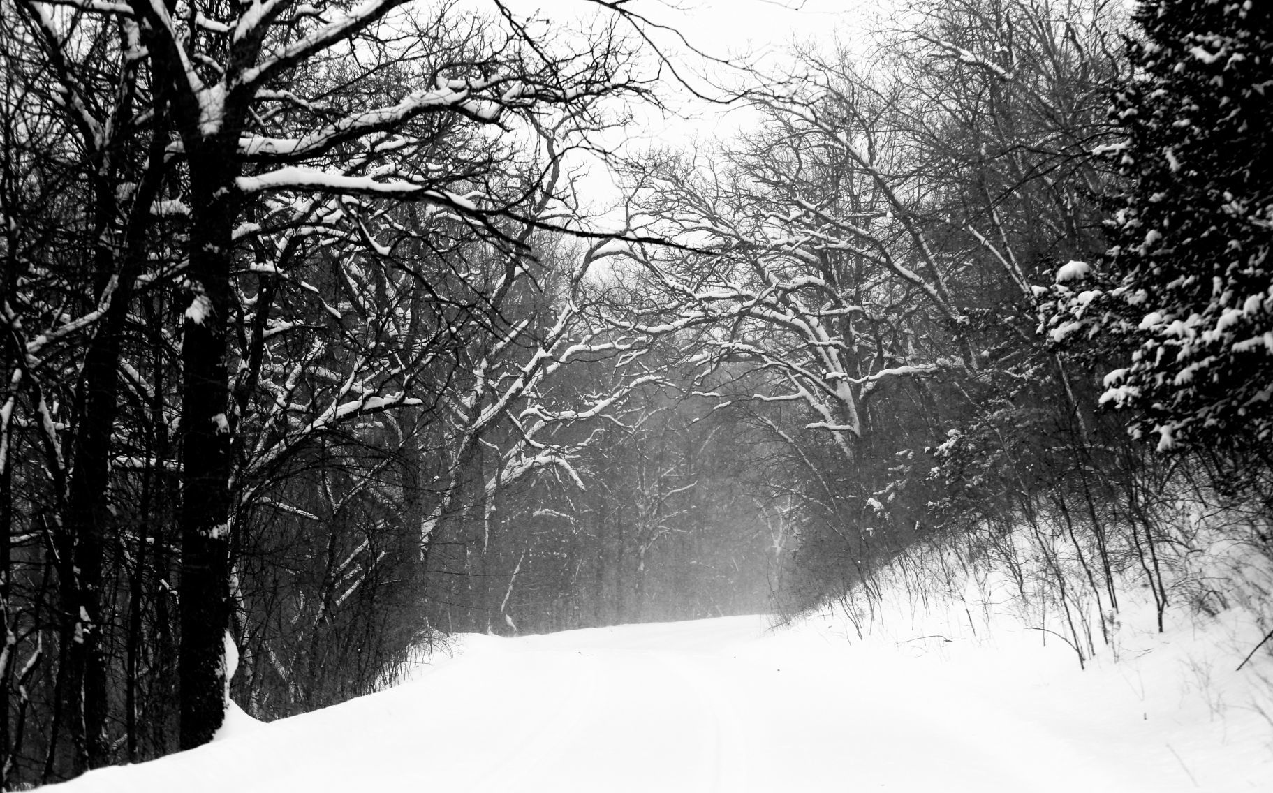 Winter Weather Continues 3